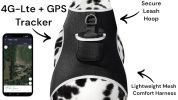Realtime GPS Dog Collar High Rated Reviews Pet Location Finder w/ App Size:L
