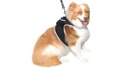 Reputable Dog Track Realtime System Rechargeable GPS Pet Finder Tracking Gadget Size:L