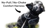 Reputable Dog Track Realtime System Rechargeable GPS Pet Finder Tracking Gadget Size:L