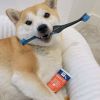 4 Tooth Brushing Kits