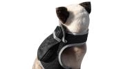 Realtime GPS Dog Collar High Rated Reviews Pet Location Finder w/ App Size:L