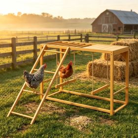 Chicken Activity Play/ Chicken Coop Toy (Option: default title)